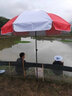 京好 室外太陽遮陽傘 大雨傘大戶外商用擺攤傘廣告?zhèn)阌∷⒍ㄖ普郫B圓傘 2米藍白/三層骨架 不帶底座 曬單實拍圖