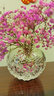 Orrefors進(jìn)口水晶玻璃 CARAT創(chuàng)意花瓶北歐家居簡約客廳插花擺件生日禮物 花瓶S（130*108） 曬單實(shí)拍圖