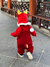 優(yōu)奇嬰兒衣服秋冬連體衣幼兒冬季紅色卡通加絨背帶褲可愛(ài)褲子拜年衣服 紅色背帶褲【不含配飾】 90 曬單實(shí)拍圖