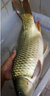 海龍王 魚(yú)線主線3260釣魚(yú)線超強(qiáng)拉力耐磨子線原絲不打卷尼龍線臺(tái)釣漁線 【主線】酒紅色100米6.0號(hào) 曬單實(shí)拍圖