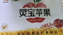 京活生鮮 河南靈寶蘋(píng)果寺河山紅富士蘋(píng)果新鮮水果國家地標產(chǎn)品 富士90精品禮盒 12顆 曬單實(shí)拍圖