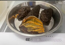 天仙島（TIANXIANDAO）即食海參4-6頭深海野生紅極參冰島整參500g/袋單個(gè)裝 1斤體驗(yàn)裝 曬單實(shí)拍圖