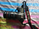 Canon佳能5D4 5D3 5D2 6D2 7D2 5DIV 6D全畫幅單反相機(jī)二手 佳能5DS機(jī)身 95新 曬單實(shí)拍圖
