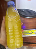 普瑞米爾水蘇糖（能量飲）固體飲料電解質(zhì)維生素?；撬徇\(yùn)動補(bǔ)劑解渴比賽 熱帶水果味20袋-送搖杯（推薦口味） 曬單實拍圖