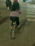 Jeep吉普公路車自行車成人男女復(fù)古公路學(xué)生平把單車變速碟剎星星跑車 鋁合金-吉普綠 7速 禧瑪諾RS35 適合1.6-1.85M 26英寸 曬單實(shí)拍圖