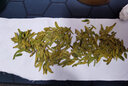 茗聚惠 【明前嫩芽龍井】2026年新茶杭州鮮西湖區特級綠茶豆香茶葉500g 曬單實(shí)拍圖