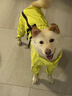 MOEPIE狗狗雨衣中大型犬邊牧金毛柴犬四腳防水全包新款連帽沖鋒衣 綠色（帶帽款可拆卸） 2XL（推薦34-40斤狗狗） 曬單實(shí)拍圖