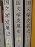中國(guó)文學(xué)發(fā)展史上中下全三卷 劉大杰 復(fù)旦大學(xué)出版社 中國(guó)文學(xué)史教程 中國(guó)文學(xué)通史經(jīng)典巨著 中國(guó)文學(xué) 曬單實(shí)拍圖