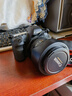 佳能6D 5D2 5D3單機身全畫(huà)幅數碼二手單反相機6D2含24-105套機 50-1.8 佳能5D2單機身 99新 曬單實(shí)拍圖