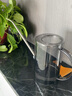 尚洋室內澆水壺半透明塑料灑水壺園藝工具不銹鋼多肉植物蔬菜長(cháng)嘴水壺 不銹鋼長(cháng)嘴澆水壺（透明灰） 曬單實(shí)拍圖