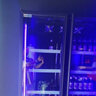 琸雪賽啤酒柜冷藏展示柜大容量酒水柜便利店飲料柜冷飲柜商用冷柜超市立式風(fēng)冷冰箱陳列柜 黑色雙門(mén) A6款 曬單實(shí)拍圖