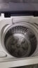 威力（WEILI）8公斤波轮洗衣机全自动 13分钟快洗 安全童锁 自判水位 单独脱水 以旧换新XQB80-1999J 实拍图