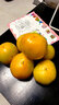 驕瑰黃柿子黃色番茄西紅柿內蒙古五原特產(chǎn)當季現摘新鮮水果鐵皮柿子 7斤 曬單實(shí)拍圖