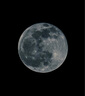 圖麗（TOKINA） SZ SUPER TELE 500mmF8 MF 甜甜圈 超遠(yuǎn)攝折返鏡頭全畫(huà)幅單反微單相機(jī)定焦鏡頭手動(dòng)對(duì)焦 官方標(biāo)配 尼康Z卡口 曬單實(shí)拍圖