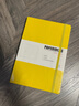 Paperideas 商務(wù)筆記本子b5大號硬面綁帶本空白點(diǎn)陣加厚皮面本辦公記事本簡(jiǎn)約日記本工作記錄本 牛油果綠 B5/188頁(yè) 空白內頁(yè) 曬單實(shí)拍圖