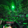 泛彩戶外led照樹燈彩色投光燈園林景觀射樹燈防水地插燈庭院綠化射燈 50w 綠/黃/紅/藍/紫/粉 （6選1） 曬單實拍圖