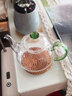 錦格玻璃茶壺耐高溫透明加厚過(guò)濾功夫茶具泡茶煮茶小茶壺耐熱壺養(yǎng)生壺 PYH-150s小壺翠綠色 300ml 曬單實(shí)拍圖