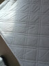 水星家纺薄床垫抗菌阻螨透气垫子榻榻米保护垫软床垫床笠式絮垫180×200cm 实拍图