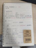 文章（WENZHANG） 方格本線(xiàn)圈本大號可拆活頁(yè)筆記本記事本橫線(xiàn)本大學(xué)生簡(jiǎn)約小格子網(wǎng)格本加厚文具 橫線(xiàn)款/B5/3本 曬單實(shí)拍圖