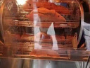 猛世烤紅薯機商用擺攤烤地瓜機烤雪梨機全自動(dòng)電熱燃氣爐子熱風(fēng)循環(huán)烘焙小型風(fēng)爐烤箱臺式街頭地瓜爐 【瓜梨同烤】立式保溫+定時(shí)丨50斤/H 曬單實(shí)拍圖