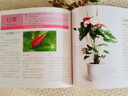 新手養(yǎng)花入門（全彩） 曬單實拍圖