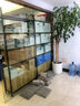 艾業(yè)（AIYE） 展示柜貨架日用品超市展架煙酒零食化妝品母嬰置物架便利店鋼木 黑架加淺胡桃色層板【帶柜】 六層長100*寬30*高205cm 曬單實拍圖