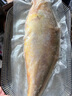 歡之婧 東海大黃魚(yú) 黃花魚(yú)新鮮 鮮活船凍 深海海捕 2條裝（2斤以上/條） 曬單實(shí)拍圖
