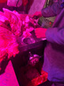 正元電動(dòng)絞肉機(jī)商用攪肉機(jī)大功率ZY-1單絞機(jī)42S型不銹鋼全自動(dòng)3KW強(qiáng)力攪拌碎肉機(jī) 42型4000W電機(jī)三項(xiàng)電 曬單實(shí)拍圖