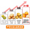閩域尋鮮山東秋月梨當季現摘萊陽(yáng)新鮮梨子新鮮水果萊陽(yáng)脆甜梨子 凈重8.5-8.0斤 | 單果250g起 曬單實(shí)拍圖