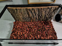 REPTIZOO爬寵造景樹皮背景板雨林缸爬蟲飼養(yǎng)箱爬缸天然橡樹皮 NCT08-AK08專用 曬單實(shí)拍圖