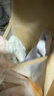 貓人內褲女士純棉中腰無痕透氣10A全棉抗菌襠女生三角短褲不夾臀 曬單實拍圖