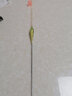 黃金眼 彩金版納米魚(yú)漂釣魚(yú)浮漂漁具加粗醒目鯽魚(yú)漂鯉魚(yú)混養(yǎng)漂 C-020 1號(hào)一支 曬單實(shí)拍圖