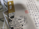 沈周冊頁(yè)精選本書(shū)精心選取海內外館藏沈周繪畫(huà)經(jīng)典一百幅 曬單實(shí)拍圖