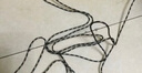 蛇尾鄉(xiāng) 蘋果數(shù)據(jù)線快充加長3米/5米手機充電線 適用iPhone12ProMax/11/Xs/XR 蘋果3米線 數(shù)據(jù)線 曬單實拍圖