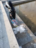 Tuban撈魚網(wǎng)兜漁網(wǎng)兒童撈小魚捕魚抄網(wǎng)可伸縮便攜碳素桿超輕超密撈網(wǎng) 碳素兒童抄網(wǎng)+折疊水桶卡其 曬單實拍圖