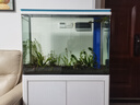 森森（SUNSUN）魚缸金魚缸家用落地玻璃生態(tài)大魚缸客廳水族箱 白色 80cm長（帶柜底過濾）發(fā)物流 曬單實(shí)拍圖