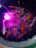 森森增氧泵水族箱充氧泵魚(yú)缸增氧機小型迷你養魚(yú)魚(yú)缸大氣量氧氣泵 （臥室可放）4W單孔CT-201整套 曬單實(shí)拍圖