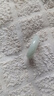 子龍翡翠玉戒指 緬甸素圈玉指環(huán)男女款玉石對戒情侶首飾禮物 戒指 17-18 曬單實(shí)拍圖
