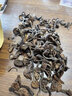 鮮姿 東北野生榛蘑特產山珍干貨菌東北名菜小雞燉蘑菇火鍋食材出口級 榛蘑50g 曬單實拍圖