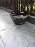 泰禧閣景德鎮(zhèn)睡蓮荷花盆缸花盆陶瓷特大號(hào)種樹盆景大花盆庭院養(yǎng)魚缸 雕刻黑蓮中號(hào)直徑53高度32cm 底部無孔養(yǎng)魚水培植物專用 曬單實(shí)拍圖