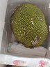 四叔公果蔬金獎·菠蘿蜜越南進口【JD直發(fā)】多地次日達水果一整個裝果切 A+級果【20年老樹果】包熟包甜 精品特大果【20-25斤】1個整果 曬單實拍圖