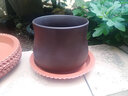 雅亭 鑫騰花卉 圓形塑料托盤(pán) 花盆托盤(pán) 托盤(pán) 圓形波浪邊 塑料花盆盆栽 240型內口徑18厘米 磚紅色 曬單實(shí)拍圖