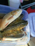 BAISHA FISH BS鰱鳙餌料魚(yú)餌酸臭拋竿釣籠水怪浮釣胖頭花白鰱野釣餌料 鰱鳙餌酸酵味【18枚】 曬單實(shí)拍圖