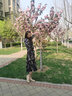 瑪麗珍小皮鞋女淑女風(fēng)配裙子單鞋2025年新款仙女風(fēng)圓頭淺口單鞋女 卡其色 37 曬單實(shí)拍圖