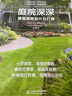 庭院深深——家庭庭院設(shè)計(jì)與打造（庭要素）  曬單實(shí)拍圖