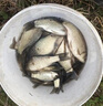 BKUMAN三棱壓鑄加強版鉛頭鉤路亞專(zhuān)用魚(yú)鉤防脫餌防掛底微物軟蟲(chóng)T尾 【50枚】三棱刀鉛頭鉤【7g】 曬單實(shí)拍圖