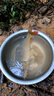 漁夫樂（YUFULE）爆炸鉤伊勢(shì)尼魚鉤新型防掛底餌料套裝彈簧鉤子拋竿海竿釣鉤 防掛底爆炸鉤(4組) 12號(hào) 曬單實(shí)拍圖