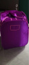 奥丽佳 汗蒸房家用汗蒸箱桑拿浴箱蒸汽折叠家庭桑拿熏蒸仪满月发汗 单人紫色+升级蒸锅 全套收到即用 实拍图