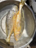 聚春園條凍大黃魚450g/條寧德大黃魚深海魚黃魚鲞小黃魚福建特產(chǎn)海鮮 條凍大黃魚 450g *1份 曬單實拍圖