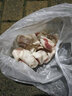 羊小柒 寧夏灘羊肉 生鮮 國產(chǎn)草原羔羊排新鮮羊肋排燒烤火鍋食材清真 羔羊條排1000g 曬單實拍圖